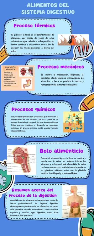 Tarea Investigación De Los Alimentos Del Sistema Digestivo