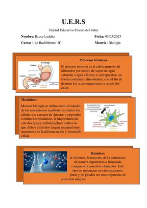 Investigacion de los alimentos del sistema digestivo