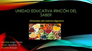Investigación De Los Alimentos Del Sistema Digestivo