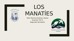 Los Manatíes