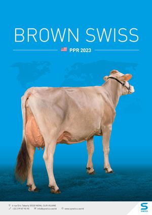 2023 SYNETICS CATALOGUE BROWN SWISS PPR ENG