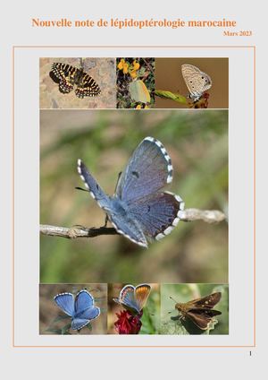 Nouvelle note de Lépidoptérologie marocaine, Michel Tarrier, Mars 2023