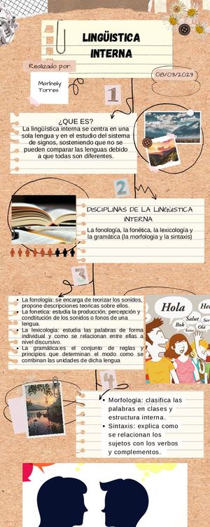 Infografía De Lingüistica Interna Y Externa