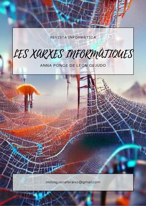 Les Xarxes Informàtiques