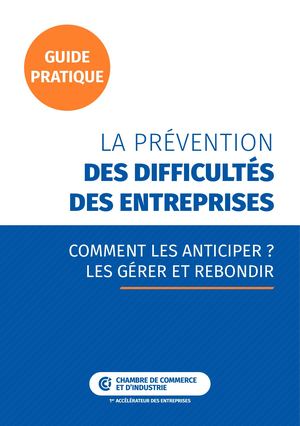 La Prévention Des Difficultes Des Entreprises 01 22