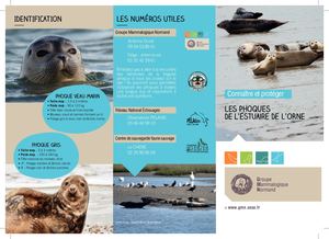 Plaquette les phoques de la Baie de l'Orne, par le Groupe Mammalogique Normand