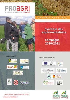 2021 Synthese des essais