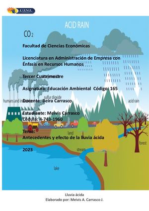 Lluvia áCida Final