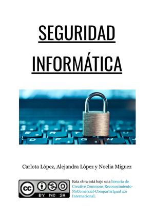 Seguridad De Internet