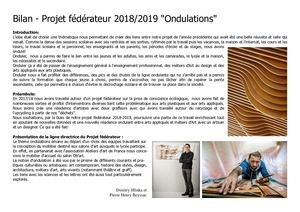 Bilan Du Projet Fédérateur 2018 2019