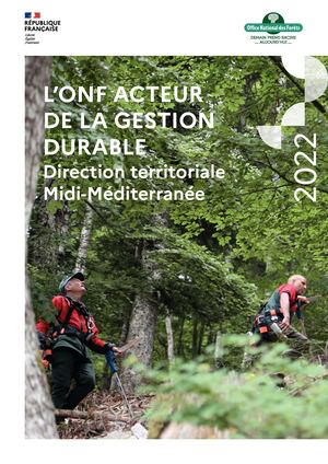 Rapport Dt Mmed 2022vdef