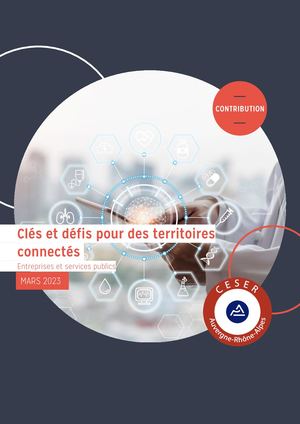 Contribution Clés Et Défis Pour Des Territoires Connectés Entreprises Et Services Publics