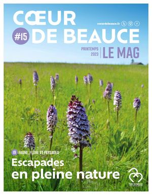 CŒUR DE BEAUCE #15