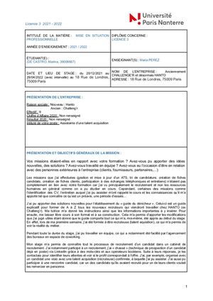 Rapport de stage dans le cabinet de recrutement HANTO