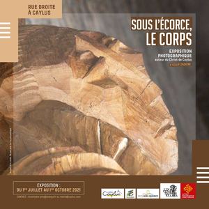 Sous l'écorce, le corps