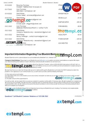 USA Bluebird bank statement Word and PDF template, 3 pages