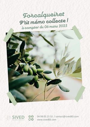 Ptit Mémo Collecte Forcalqueiret À Compter Du 06 Mars 2023 Sived Ng
