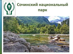 Сочинский национальный парк