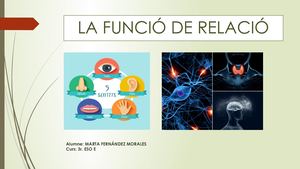 Funció Relació Humans