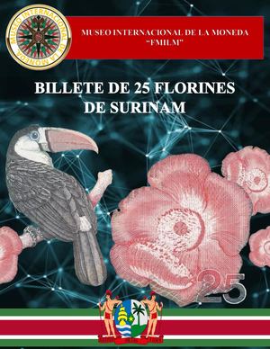 Billete De 25 Florines De Surinam Museo Internacional De La Moneda