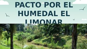 Pacto Por El Humedal