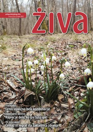 priloga Ziva marec 2022