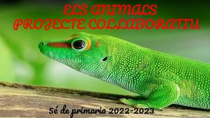 1. Projecte dels animals