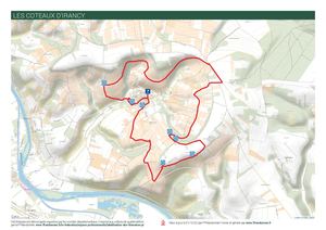 Les coteaux d'Irancy