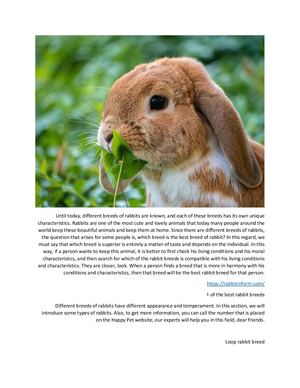 Introducing 10 domestic rabbit breeds in the world