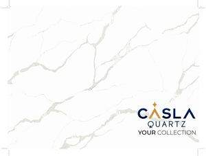 International Catalogue Casla