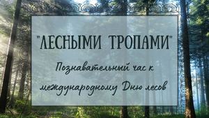 Международный день леса
