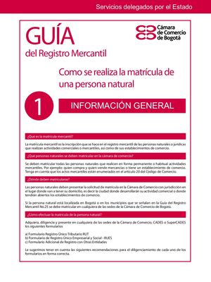 Guía Para Matrícular Persona Natural
