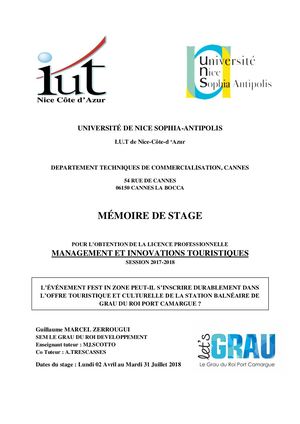 Mémoire Licence pro