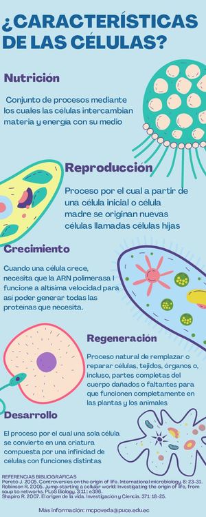 Infografía Caracteristicas de la células