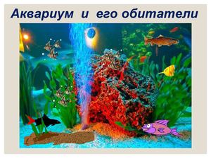 Презентация аквариумные рыбки