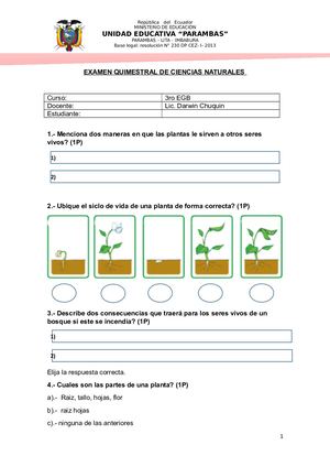 Examen Quimestral De Ciencias Naturales