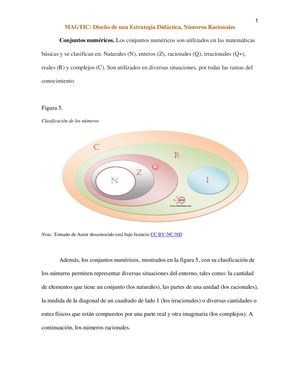 Estructuración Magtic