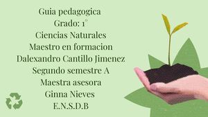Guia Pedagogica Del Medio Ambiente