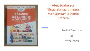 Abécédaire sur "Regarde les lumières mon amour" d'Annie Ernaux