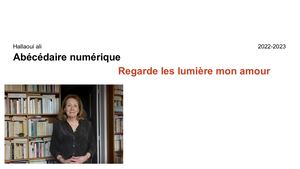 Regarde les lumière mon amour