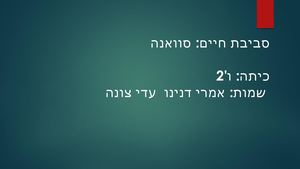 מצגת סוואנה עדי ואמרי (2)