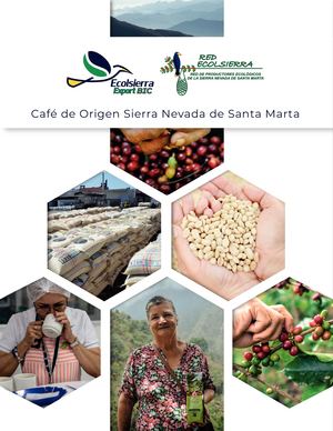 Café De Origen Sierra Nevada De Santa Marta
