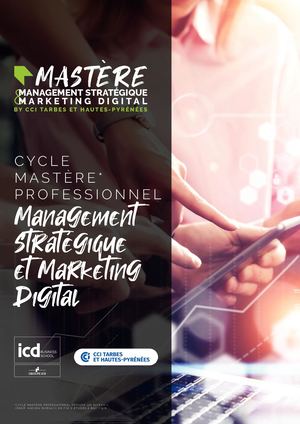 Mastère CCI Tarbes et Hautes-Pyrénées & ICD
