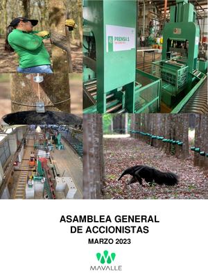 Asamblea General De Accionistas Mavalle 2022