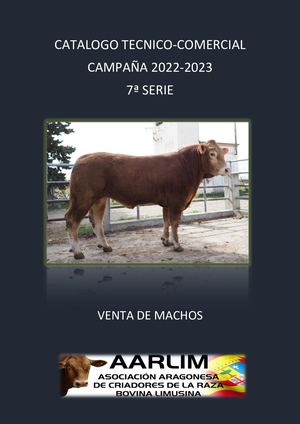 CATALOGO VENTA MACHOS 22/23