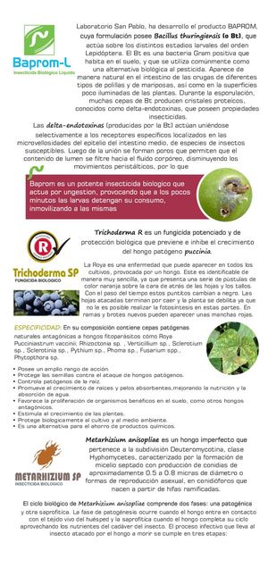 Catalogo Biologico 4