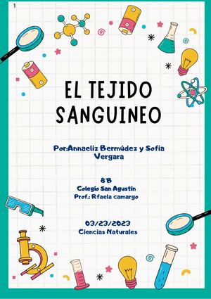 El tejido sanguineo