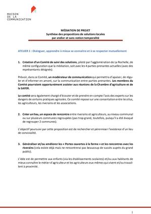 Médiation De Projet : Synthèse des propositions de solutions locales par atelier et sans notion temporalité