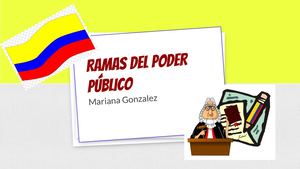 RAMAS DEL PODER PUBLICO