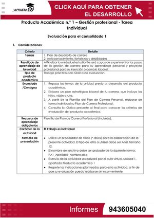 Producto Académico n.° 1 – Gestión profesional - Tarea  Individual